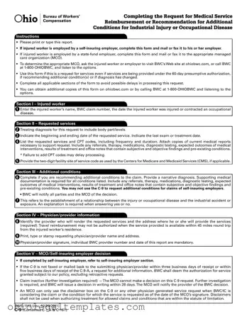 Fill in Your Ohio Bwc Writable C 9 Form