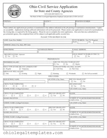 Fill in Your Ohio Civil Service Form